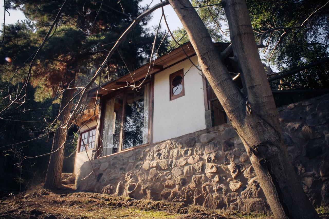 Cabanas Valle De Montanas Сан Алфонсо Екстериор снимка